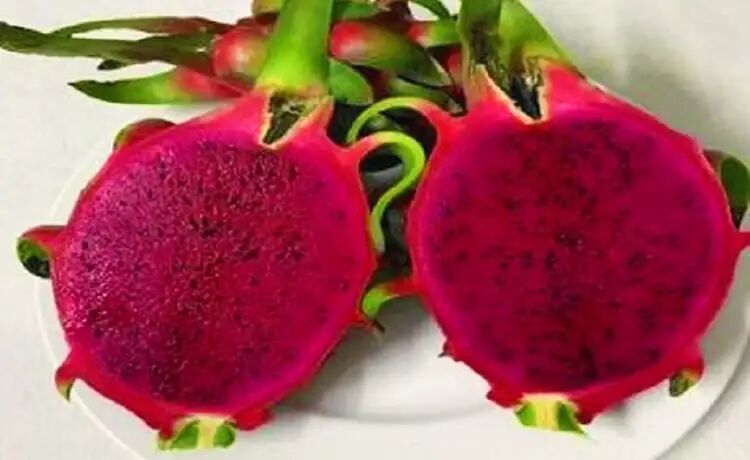 Begin your Long An Tours with a scenic adventure